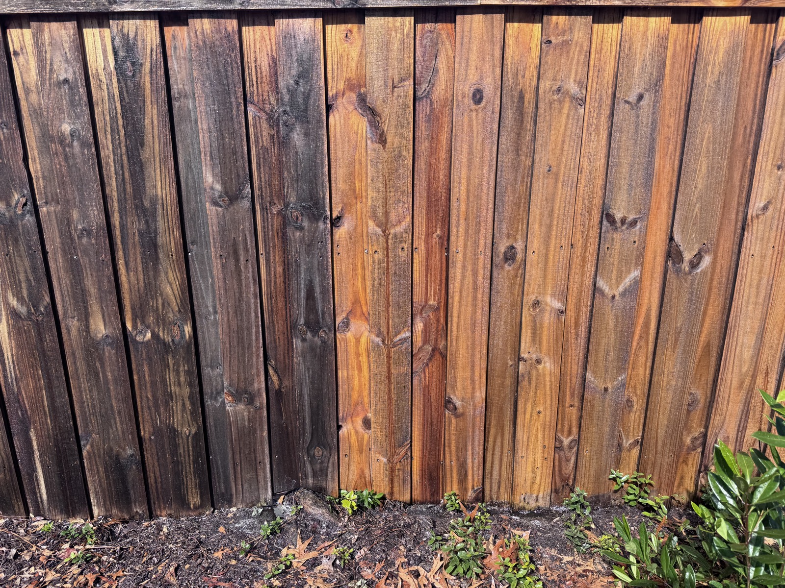 Wooden fence part-way through a wash, weathered grey boards beside clean golden ones