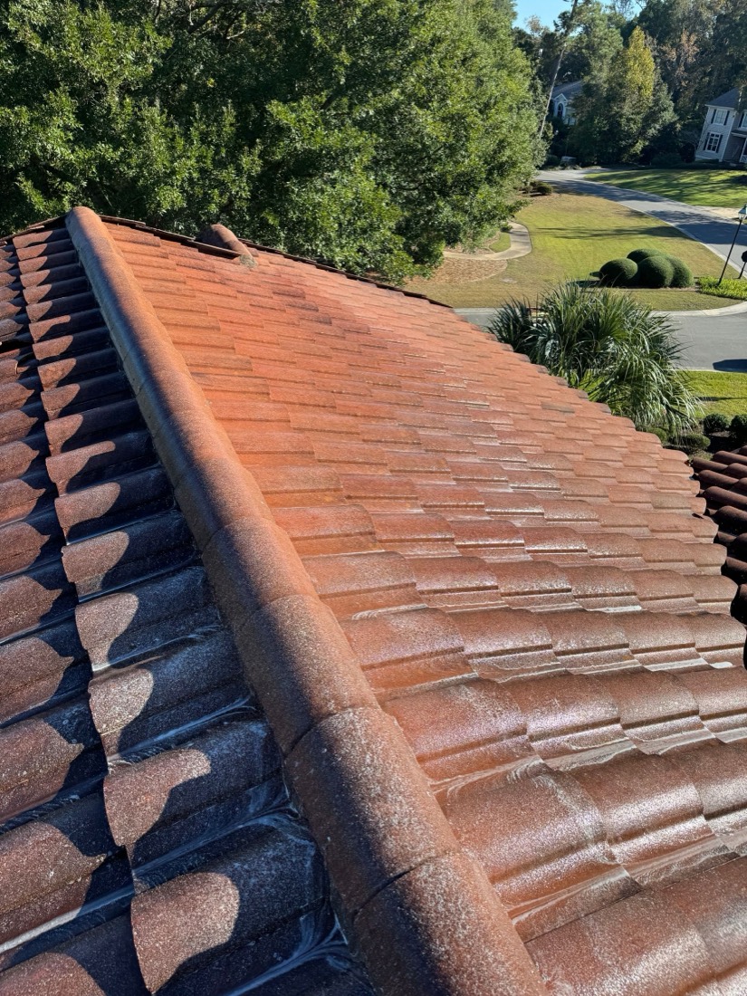 Clay tile roof part-way through a soft wash, cleaned tiles beside stained ones